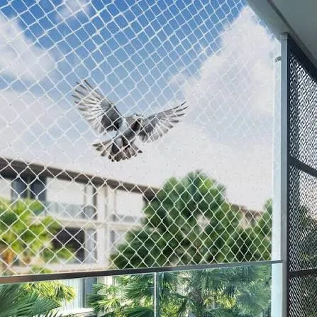 Pigeon & Bird Netting installation in Chennai — photo 1