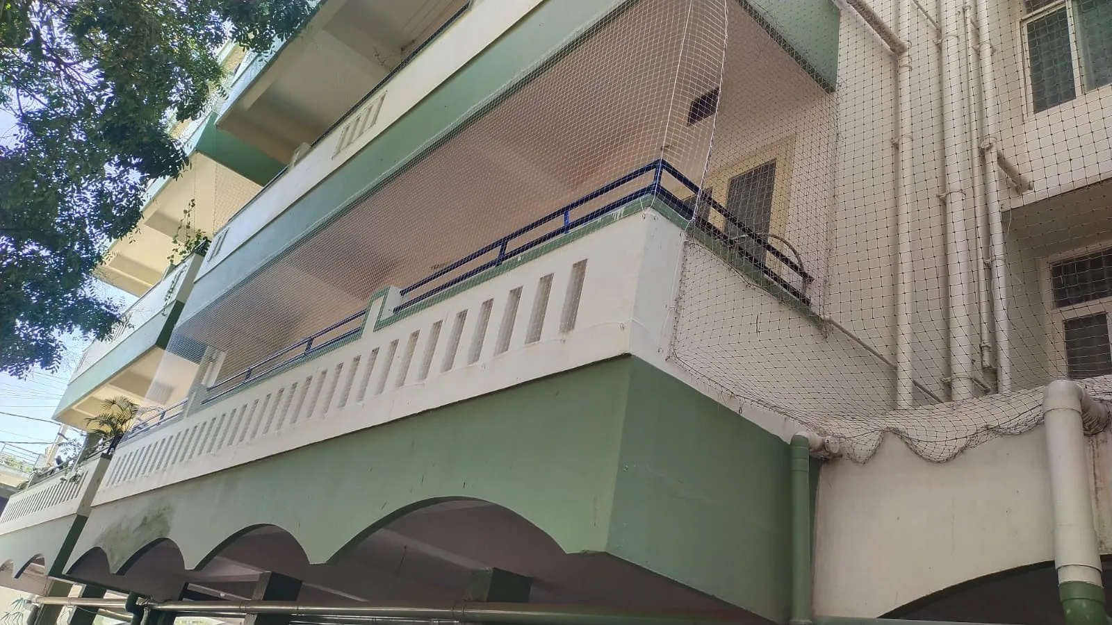 Pigeon & Bird Netting installation in Chennai — photo 2