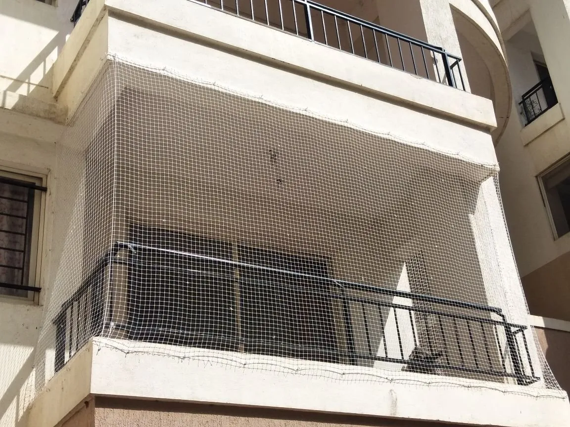 Pigeon & Bird Netting installation in Chennai — photo 3
