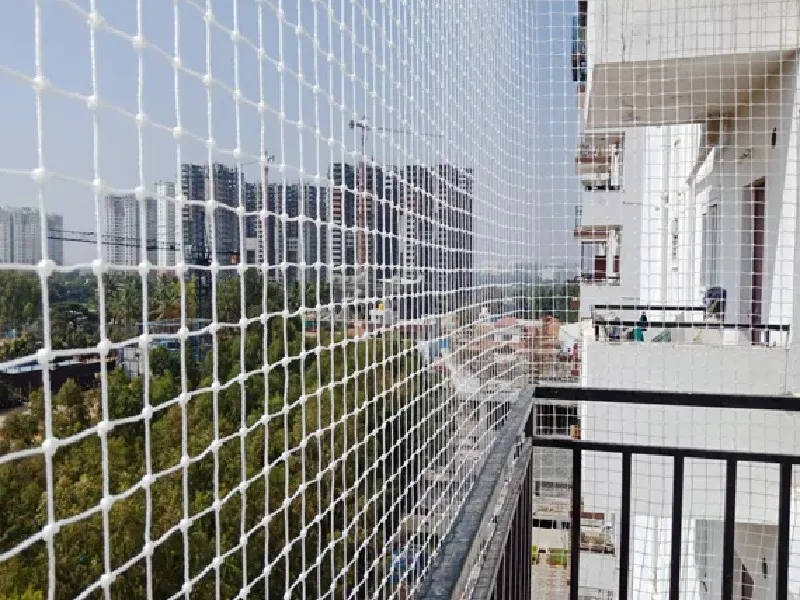 Pigeon & Bird Netting installation in Chennai — photo 4